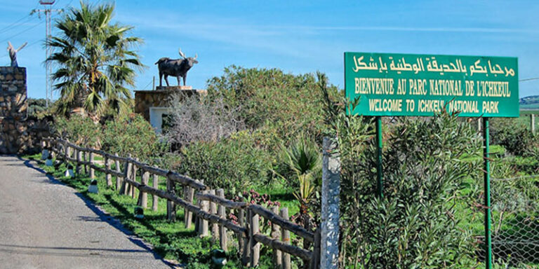 Ichkeul National Park